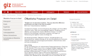 Deutsche Gesellschaft für Internationale Zusammenarbeit (GIZ): Öffentliche Finanzen