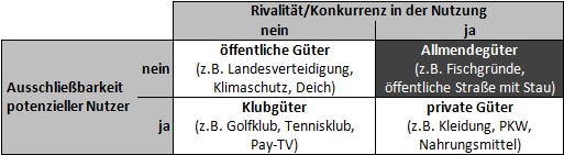 Allmendegüter (inkl. Beispiele) - Definition