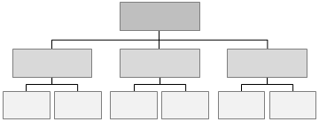 Linien-Organisation