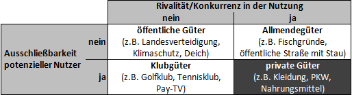 private Güter (inkl. Beispiele) - Definition